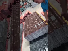 Feuilles de toit de résine d'asa